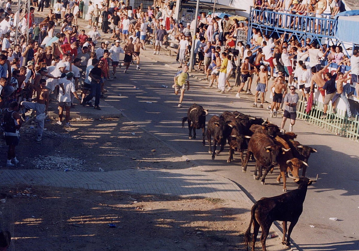 Foto antigua de una suelta de vacas en Guillena