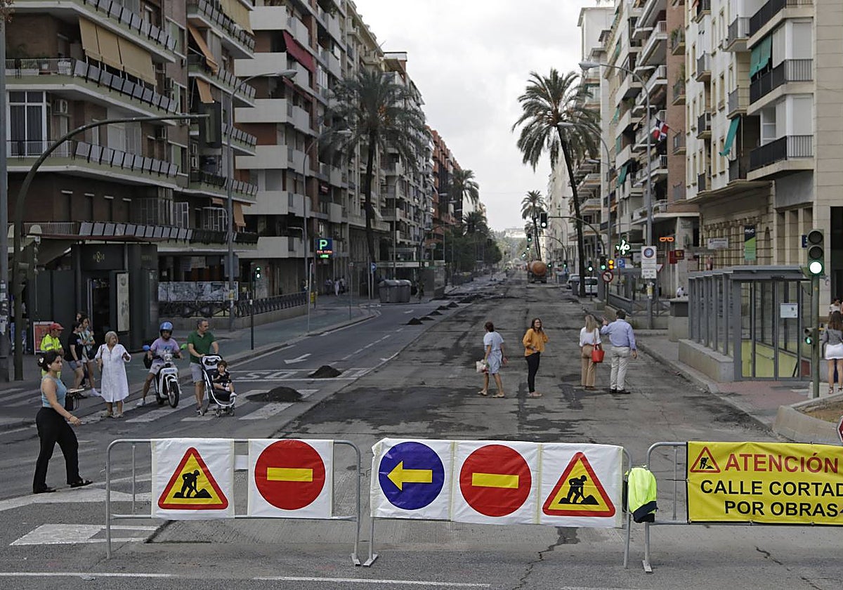 Las imágenes de las obras en la avenida de la República Argentina