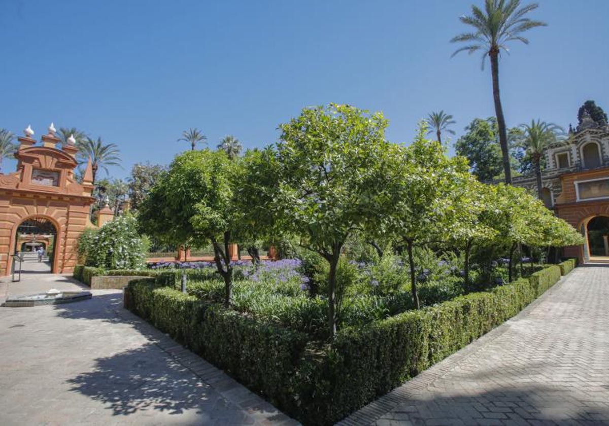 Jardines del Alcázar de Sevilla