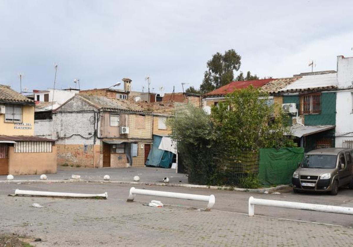 Plaza del Platanero del barrio de Torreblanca