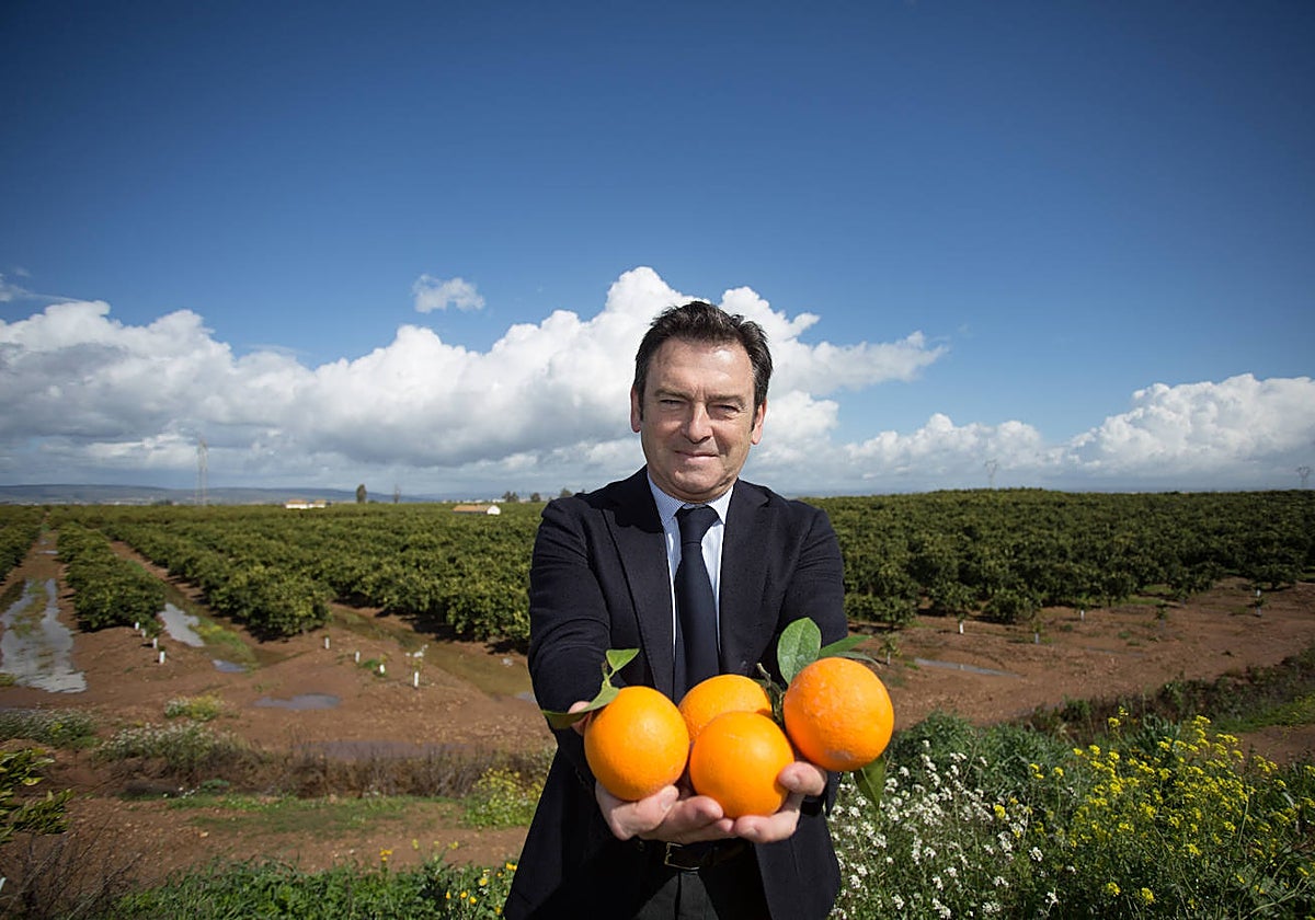 Luis Bolaños, fundador de NaturGreen, filial de Iberhanse que acaba de ser vendida al fondo Fremman Capital
