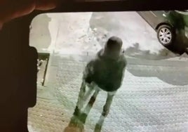 La Policía arresta a tres ladrones que asaltaban a sus víctimas por la técnica del mataleón en Sevilla