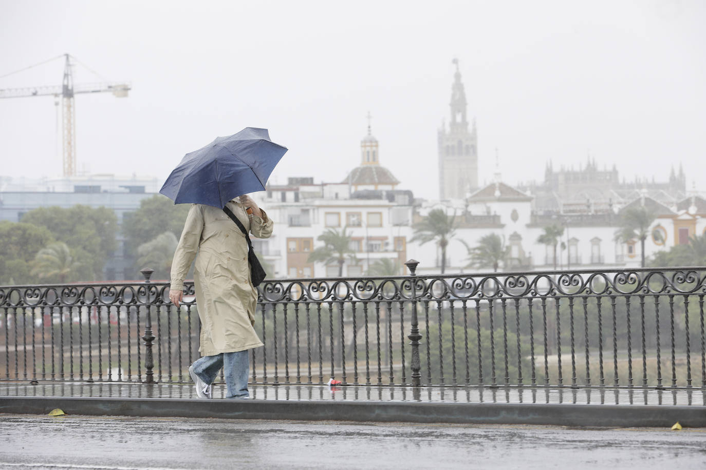  Jornada de jueves con fuertes lluvias provocadas por la borrasca 'Aline' en Sevilla