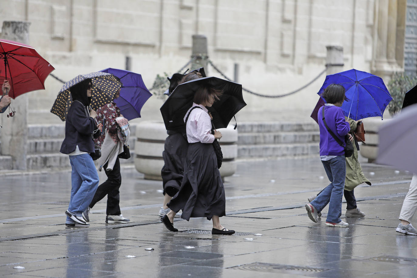  Jornada de jueves con fuertes lluvias provocadas por la borrasca 'Aline' en Sevilla