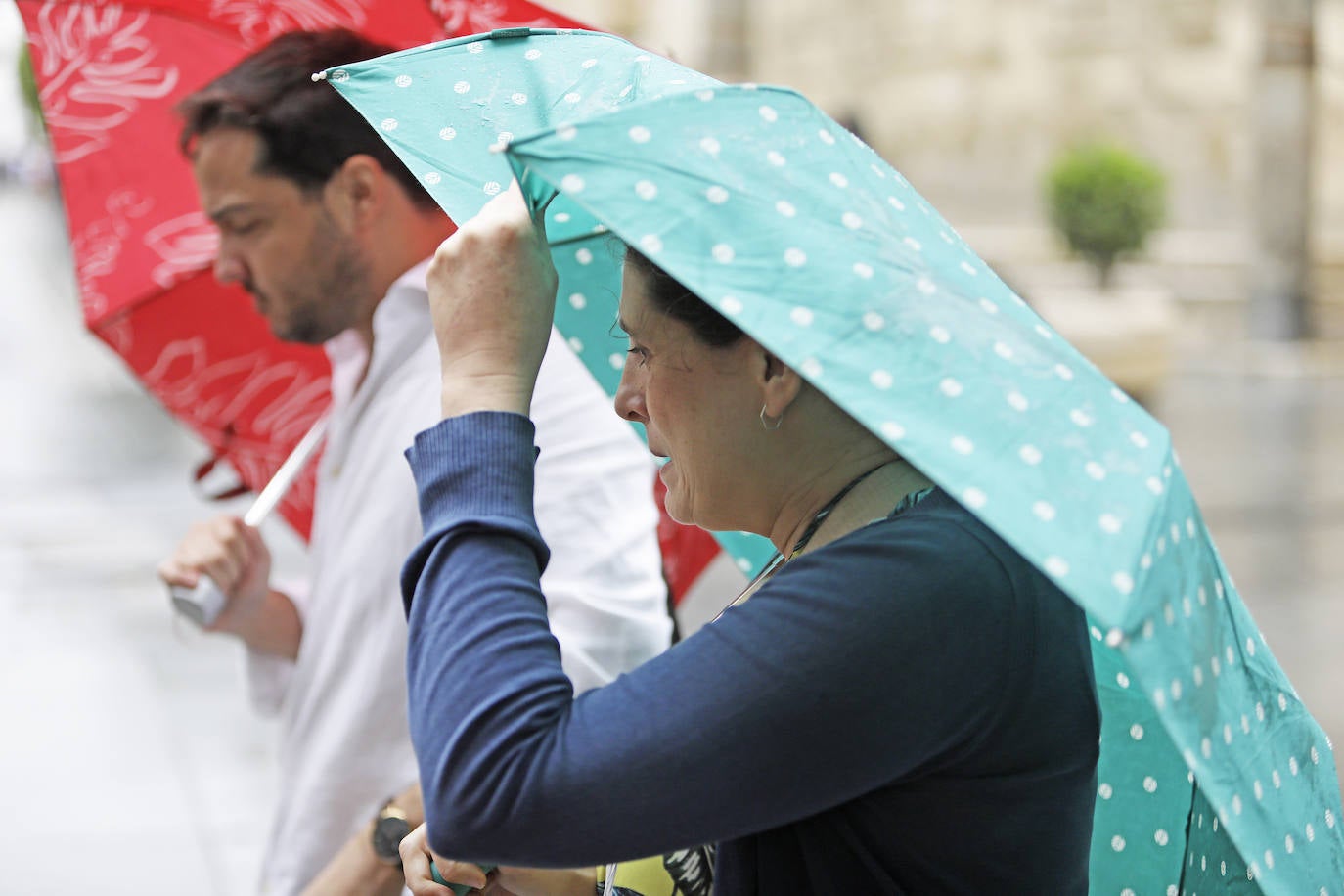  Jornada de jueves con fuertes lluvias provocadas por la borrasca 'Aline' en Sevilla