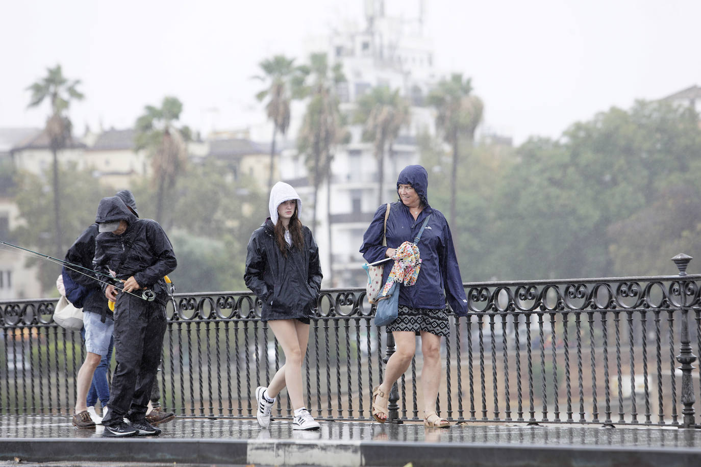  Jornada de jueves con fuertes lluvias provocadas por la borrasca 'Aline' en Sevilla