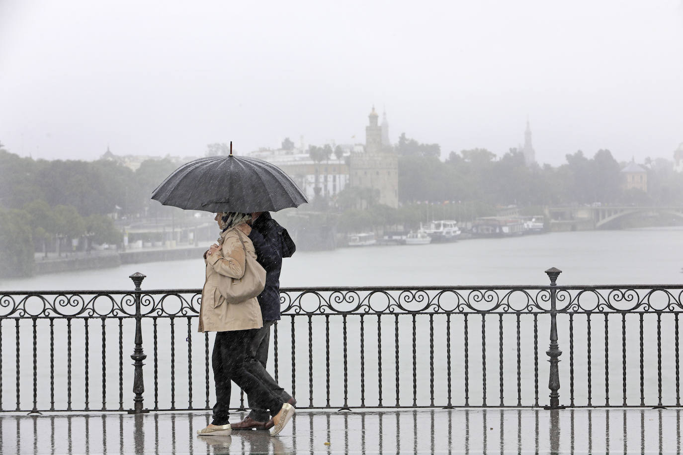  Jornada de jueves con fuertes lluvias provocadas por la borrasca 'Aline' en Sevilla