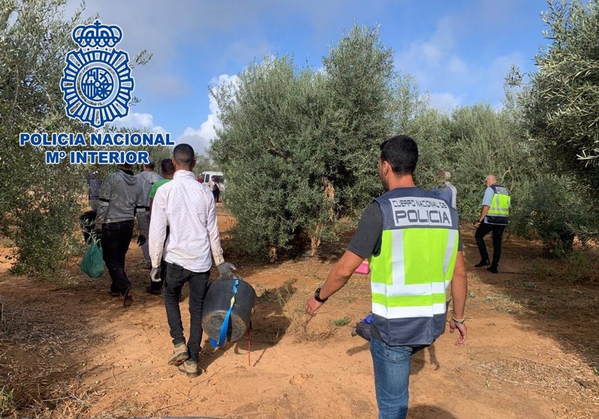 Los agentes intervienen en una finca donde eran explotadas las víctimas