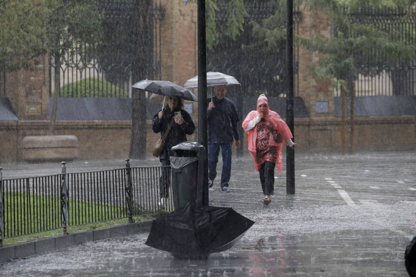 Los vientos alcanzaron más de 70 kilómetros por hora y provocó la rotura de muchas ramas y árboles 