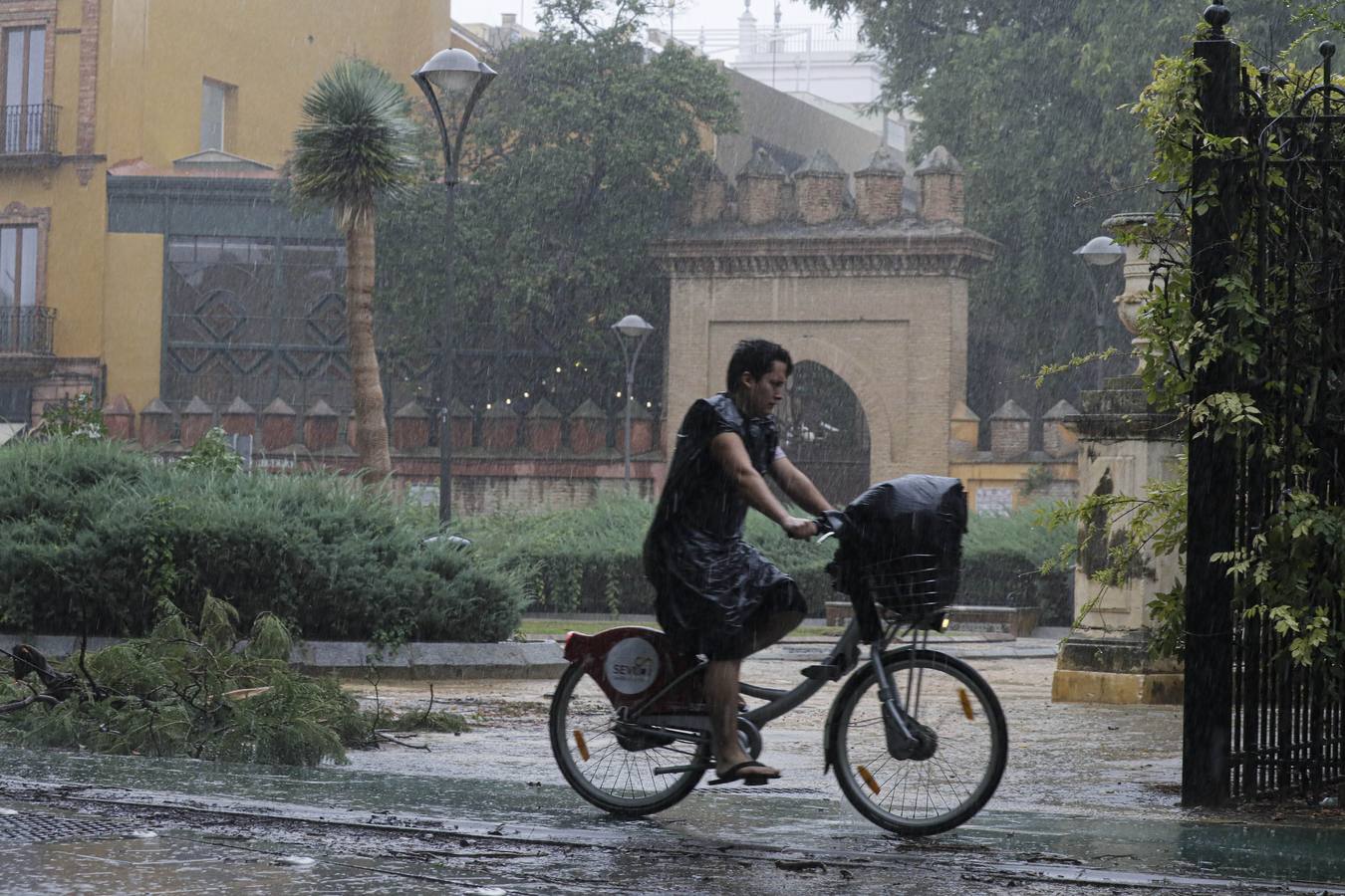 Los vientos alcanzaron más de 70 kilómetros por hora y provocó la rotura de muchas ramas y árboles 