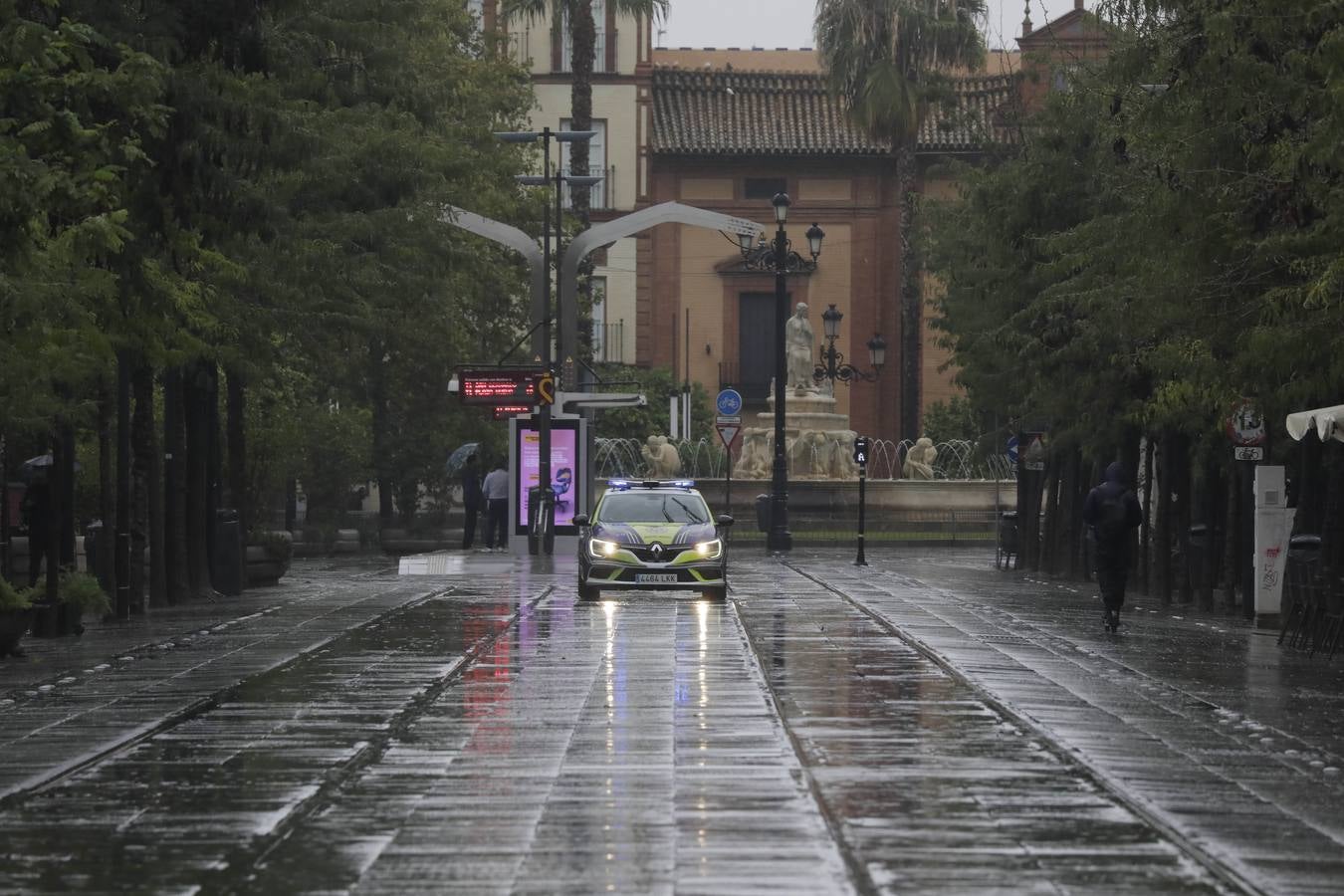 Los vientos alcanzaron más de 70 kilómetros por hora y provocó la rotura de muchas ramas y árboles 