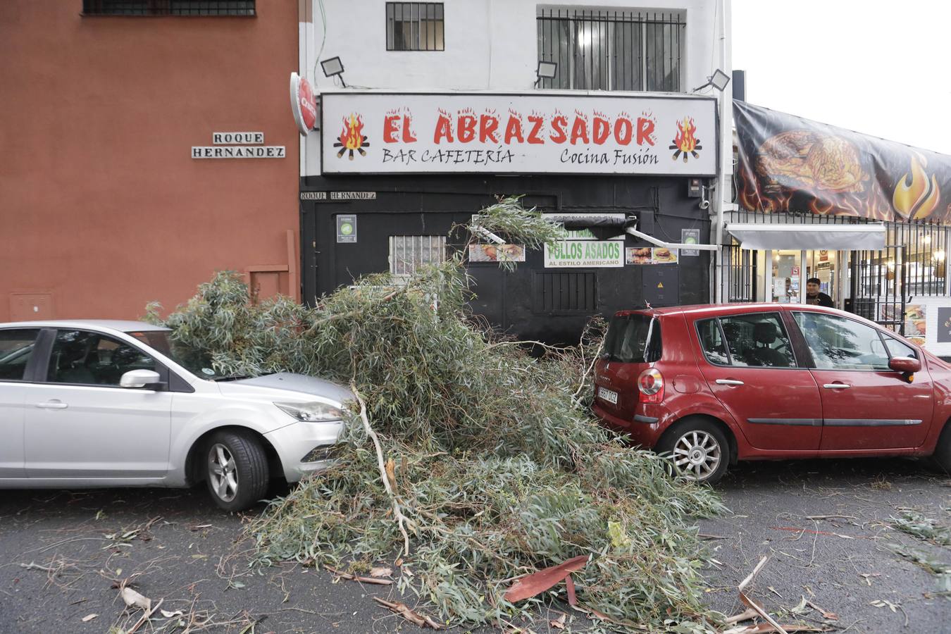 Los vientos alcanzaron más de 70 kilómetros por hora y provocó la rotura de muchas ramas y árboles 