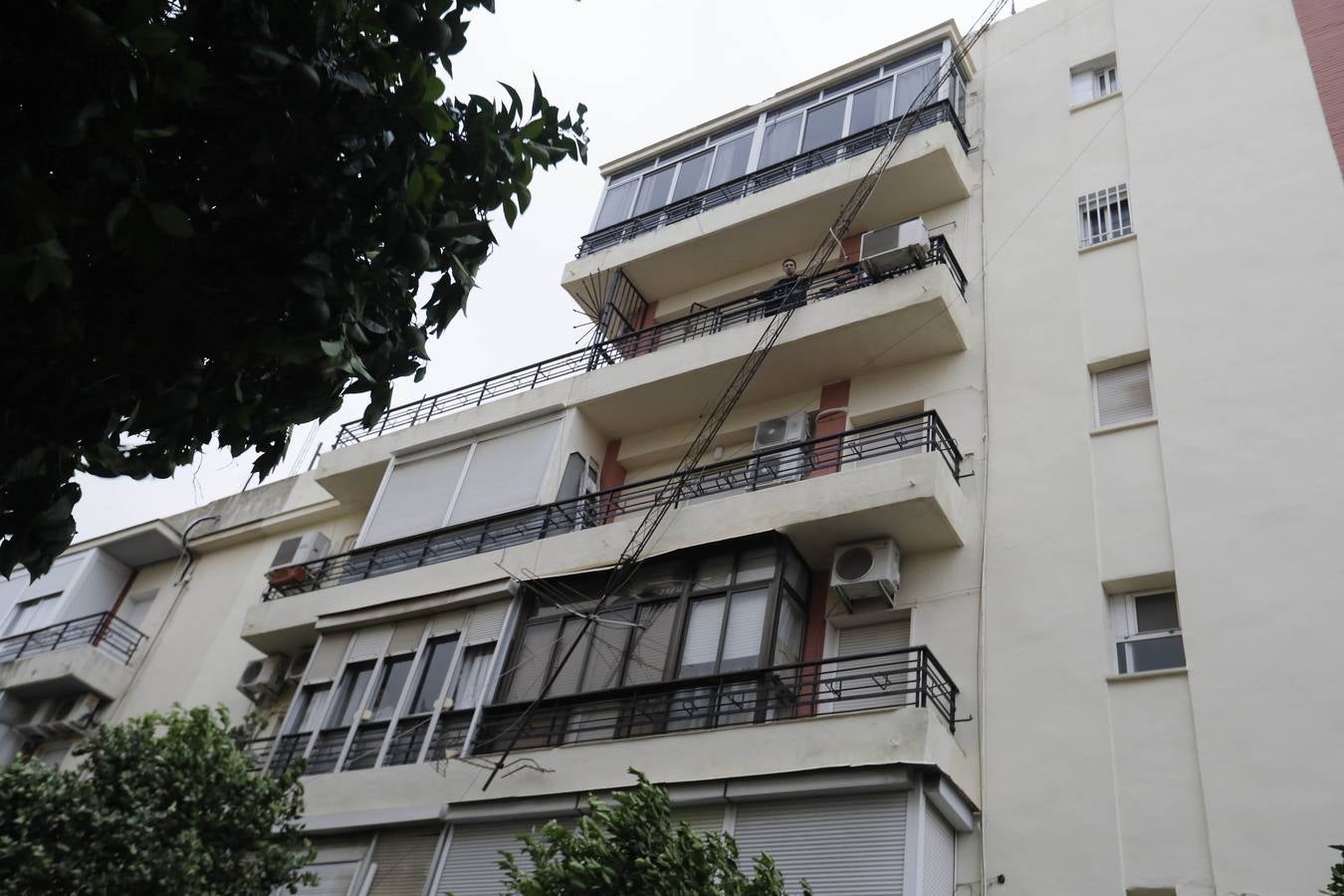 Los vientos alcanzaron más de 70 kilómetros por hora y provocó la rotura de muchas ramas y árboles 