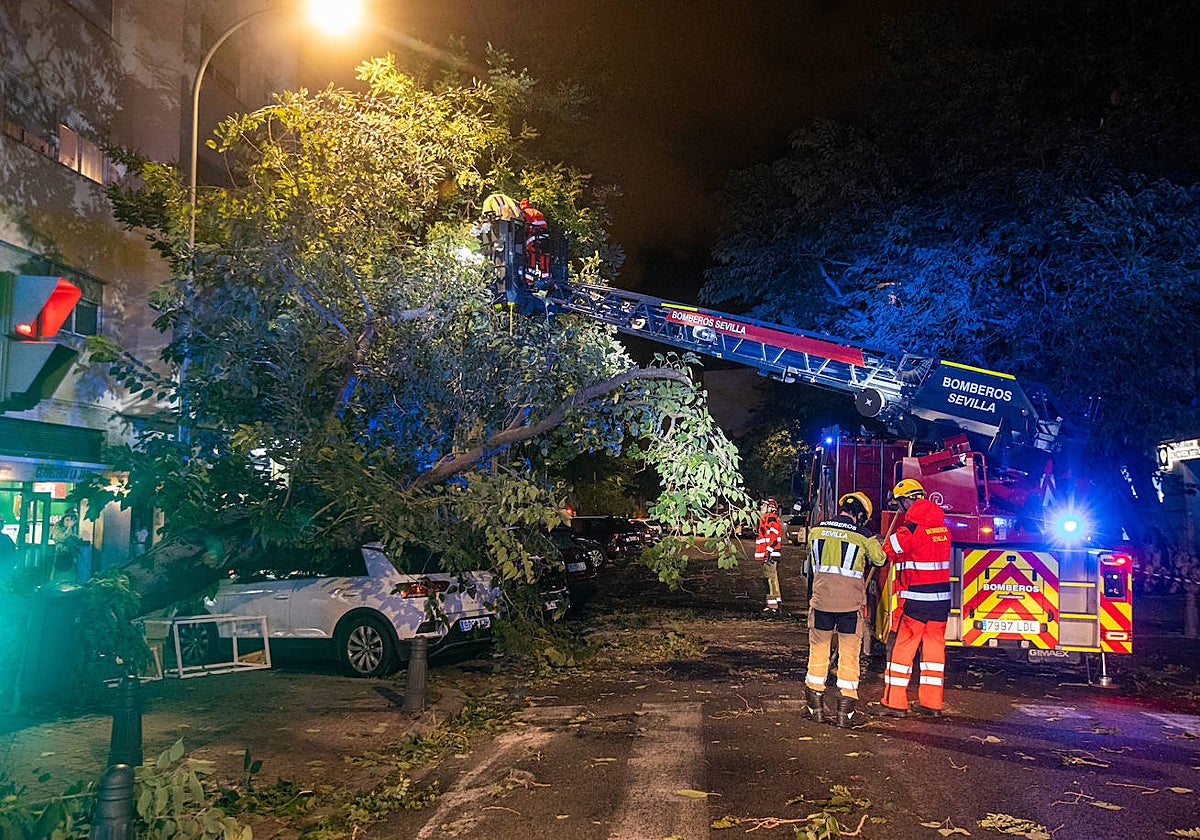 Los servicios de emergencias han trabajado durante toda la noche para recuperar la normalidad en Sevilla