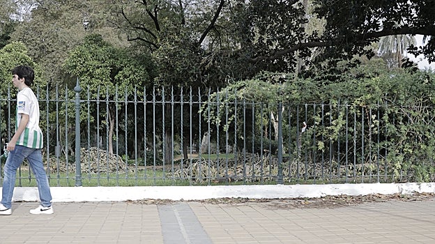 Estado en el que se encuentra el parque de María Luisa, que permanece cerrado