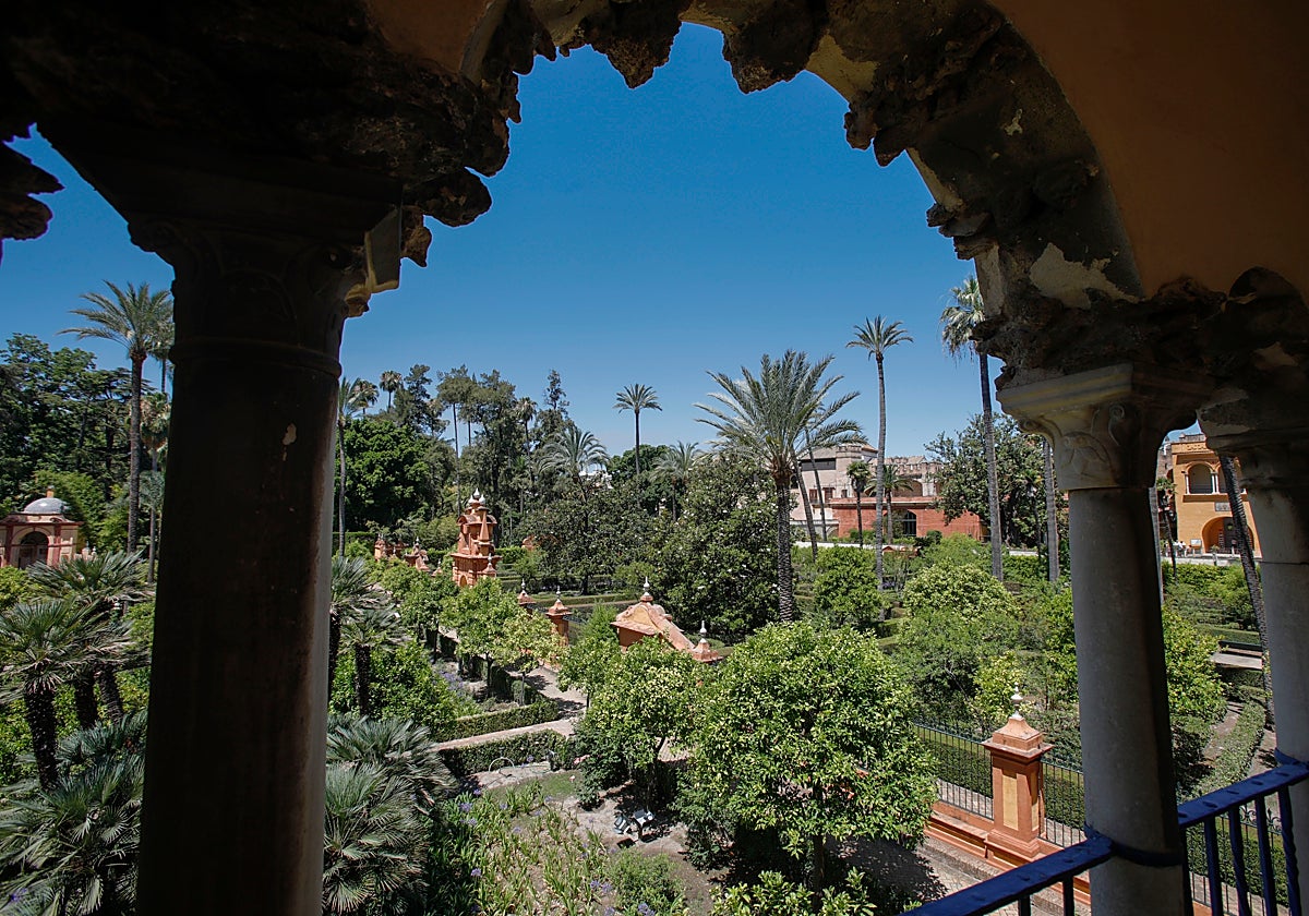 Los jardines del Alcázar han estado cerrados 10 días por los efectos del ciclón Bernard