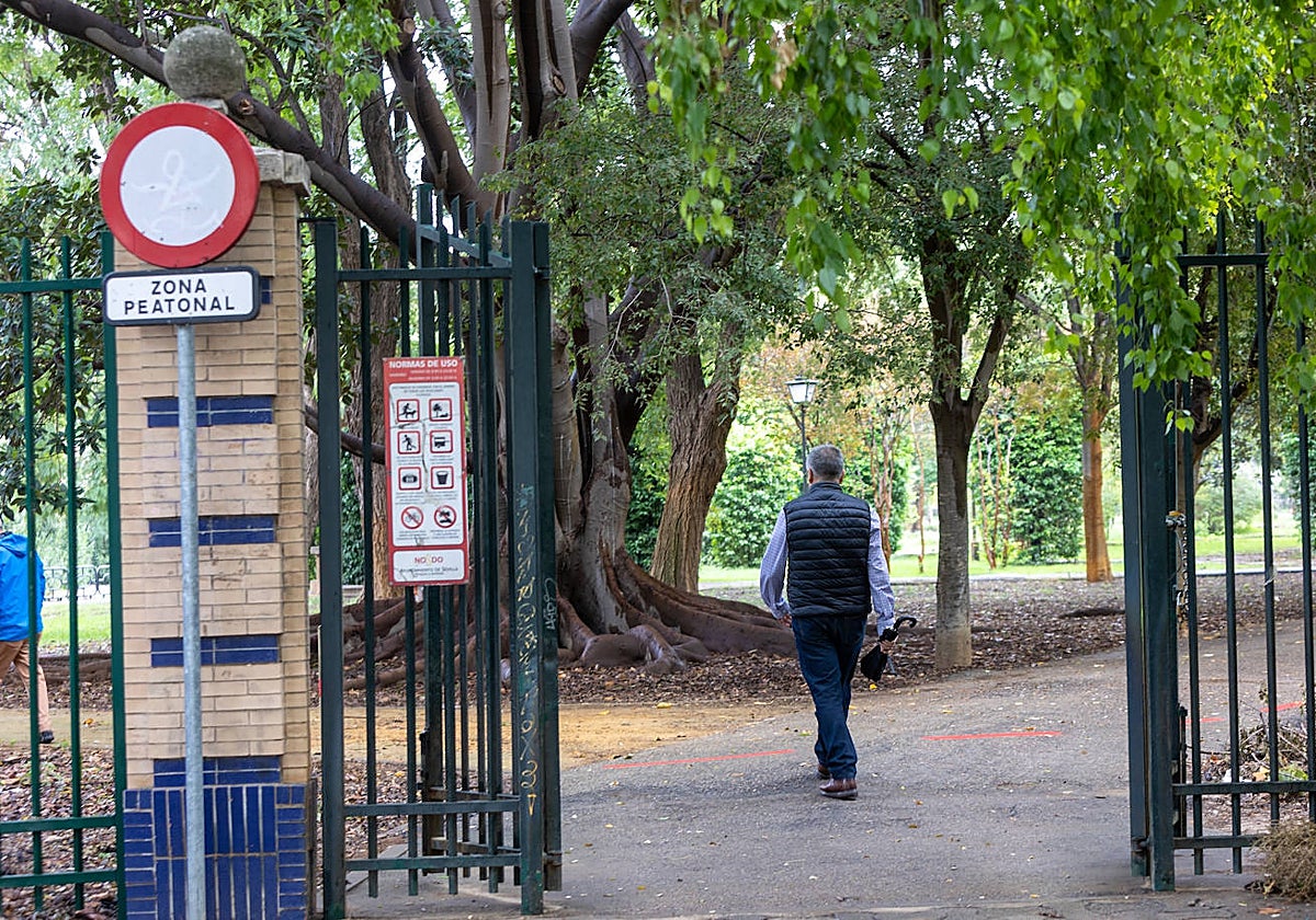 El Ayuntamiento de Sevilla vuelve a abrir el Parque de los Príncipes tras los daños por el temporal