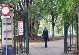 El Parque de los Príncipes reabre tras la reparación de los daños por el temporal en Sevilla, en imágenes