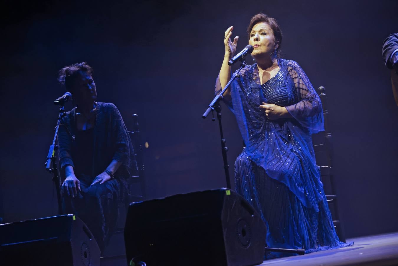 Muchos artistas acudieron a la Plaza de España para ver la gala 'El Flamenco es universal'