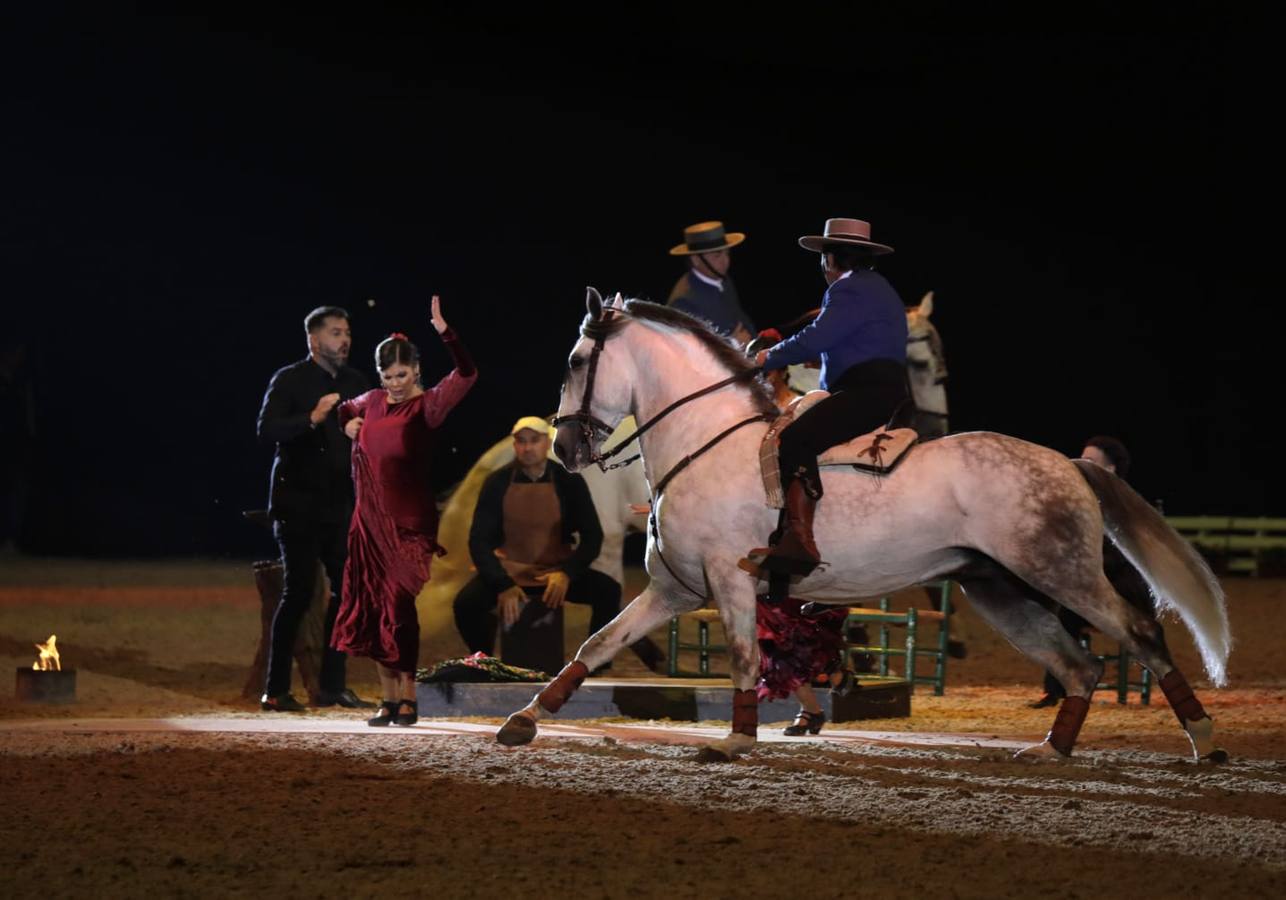 El espectáculo hizo vibrar a la grada durante el primer día del Sicab
