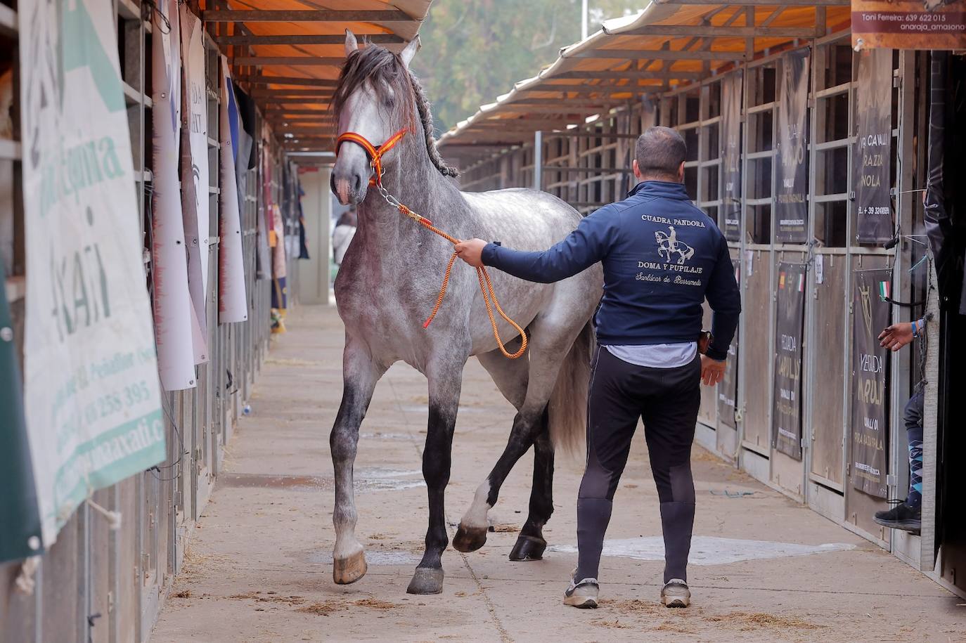 Preparativos para el SICAB en el Palacio de Congresos y Exposiciones de Sevilla