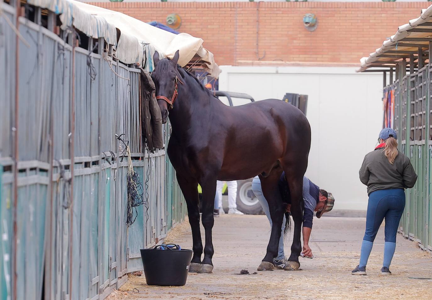 Preparativos para el SICAB en el Palacio de Congresos y Exposiciones de Sevilla