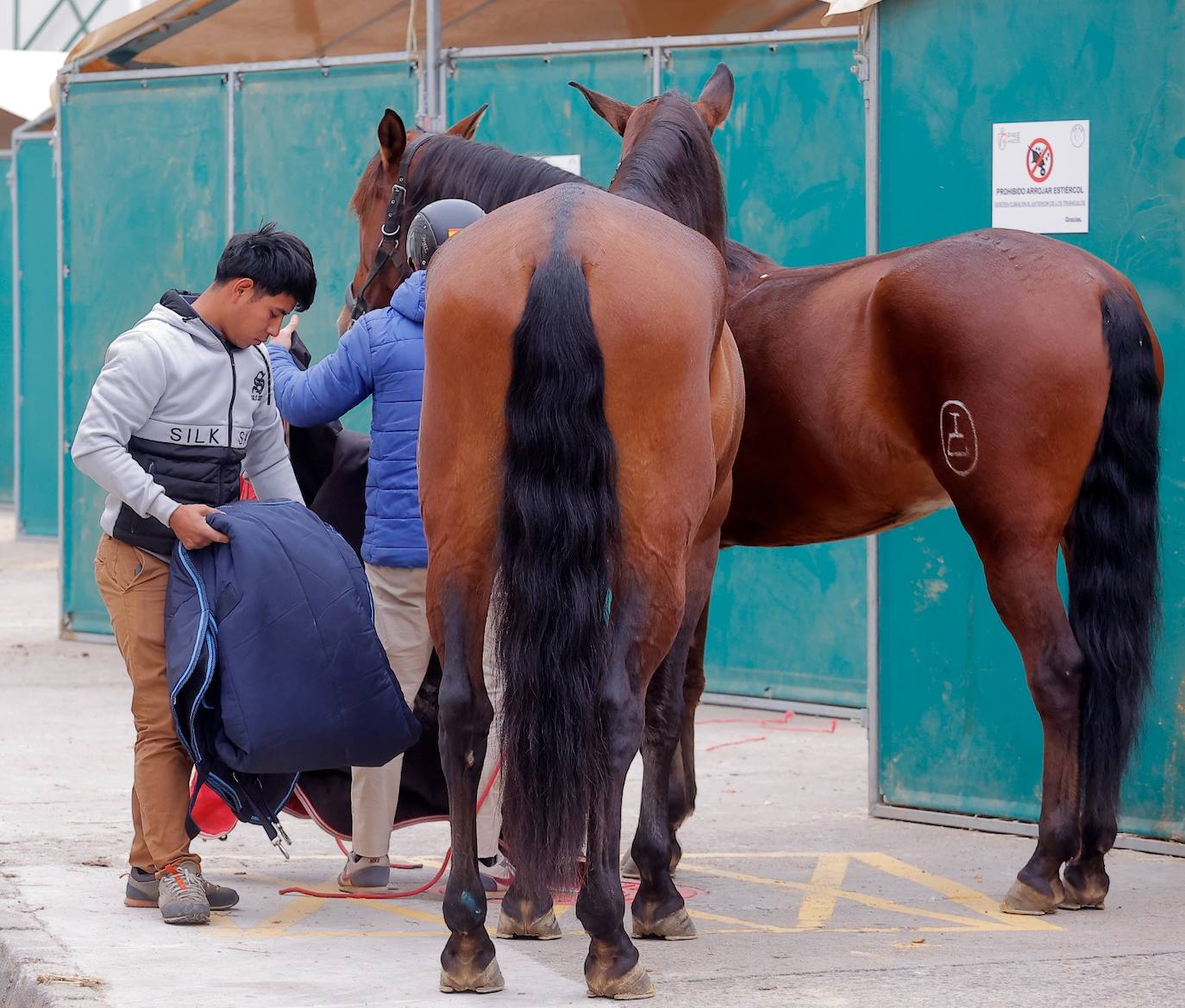 Preparativos para el SICAB en el Palacio de Congresos y Exposiciones de Sevilla