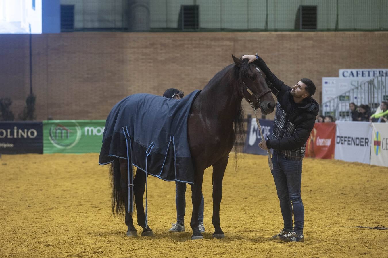 Multitud de actividades atraen cada día a los aficionados al mundo del caballo 
