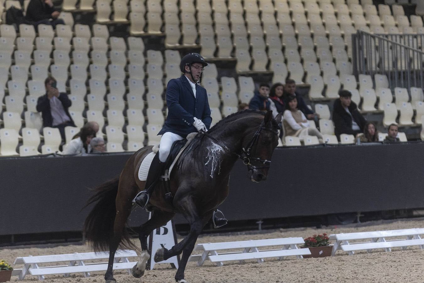 Multitud de actividades atraen cada día a los aficionados al mundo del caballo 