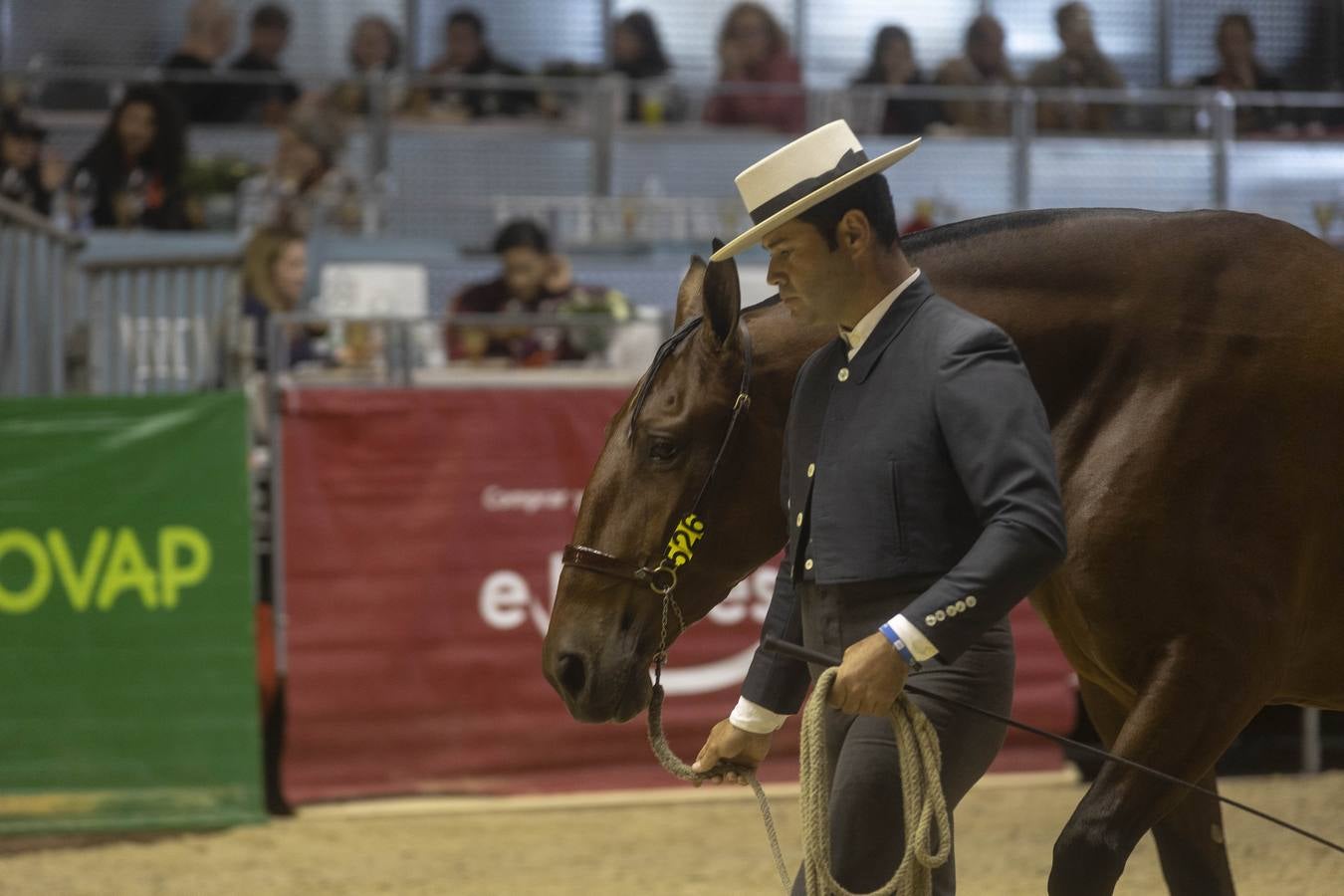 Multitud de actividades atraen cada día a los aficionados al mundo del caballo 