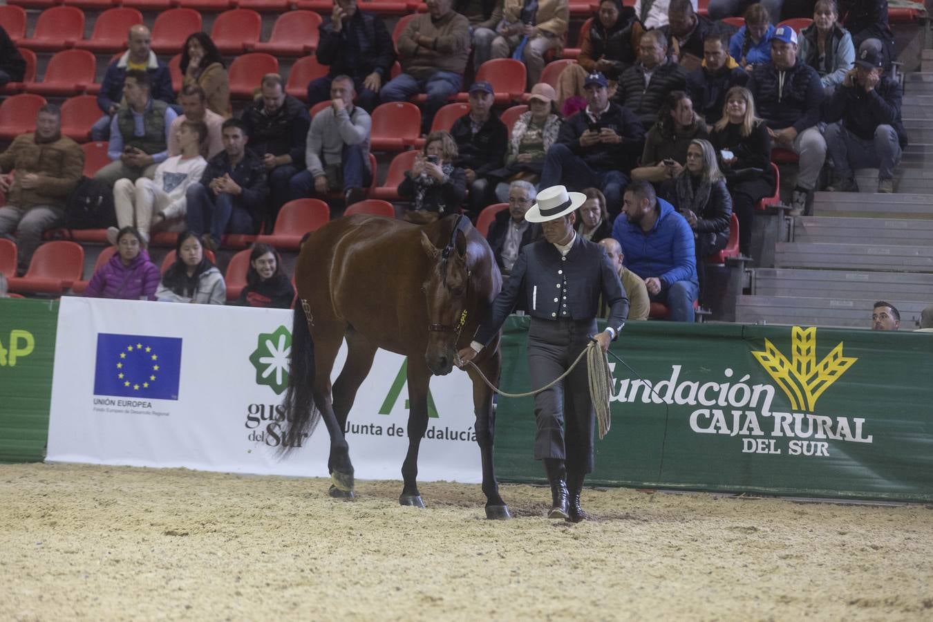Multitud de actividades atraen cada día a los aficionados al mundo del caballo 