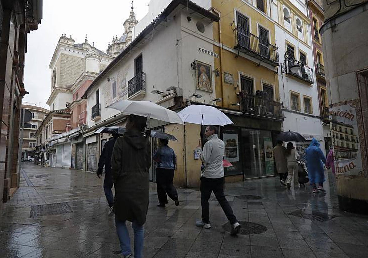 El paso de dos frentes está dejando precipitaciones en Sevilla