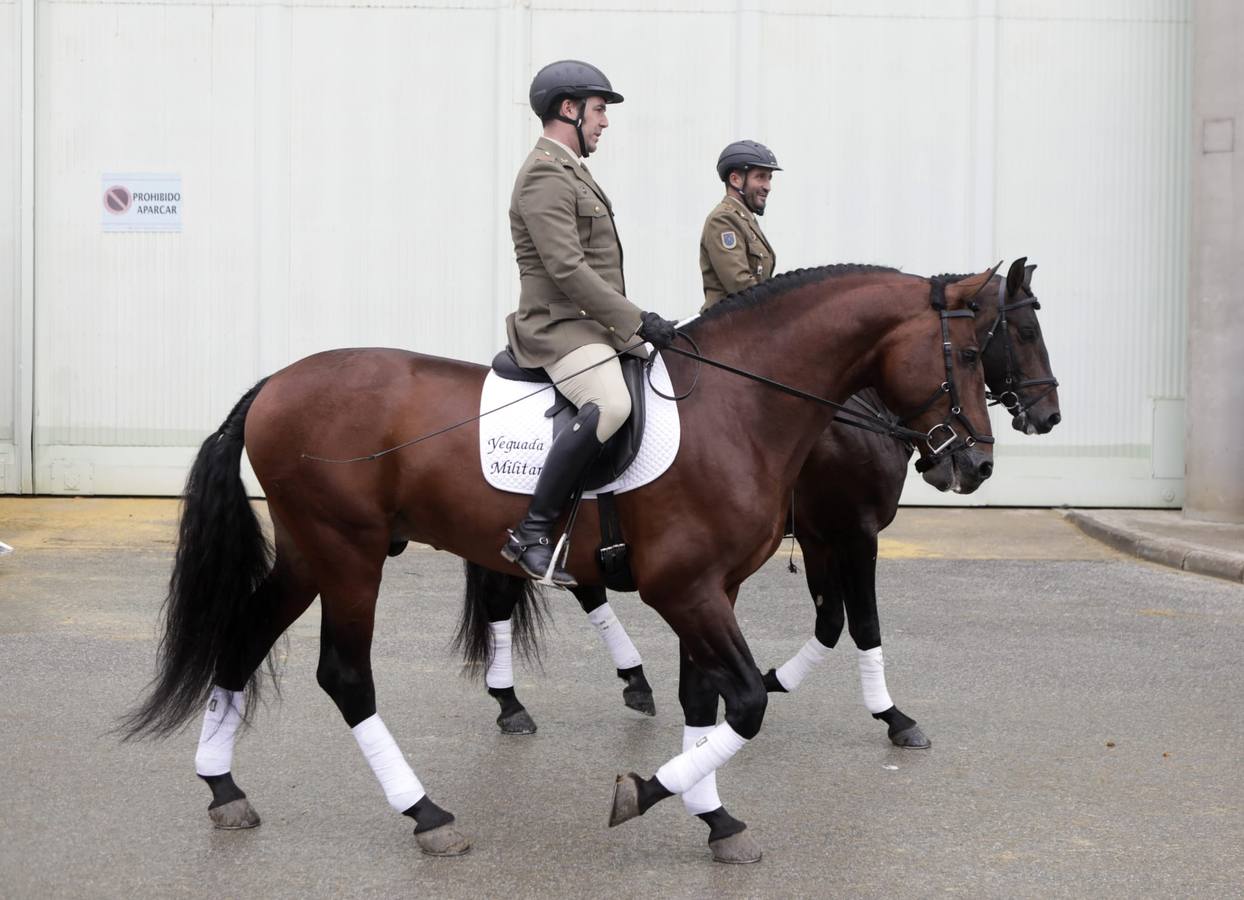 Impresionantes ejemplares de caballos de pura raza española, tiendas especializadas y rostros conocidos del sector se ven estos días en Fibes