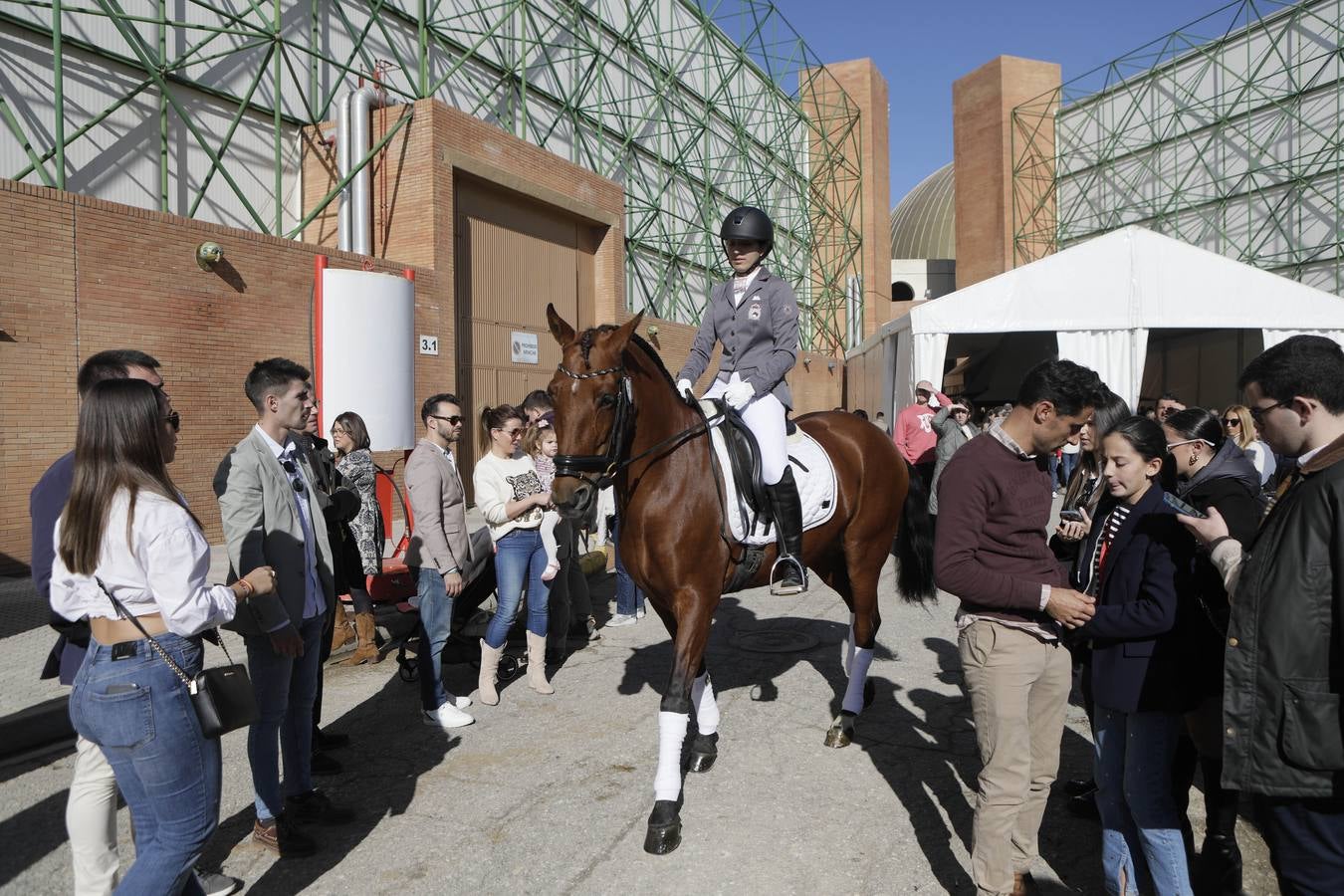 Los expositores y espectáculos de caballos contaron con numerosos asistentes