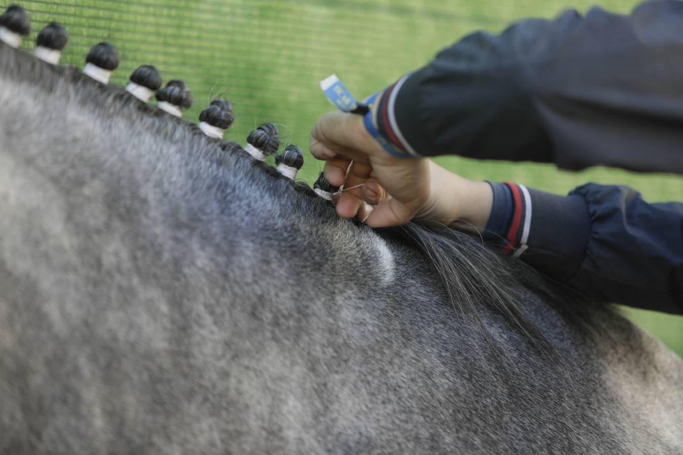 Los expositores y espectáculos de caballos contaron con numerosos asistentes
