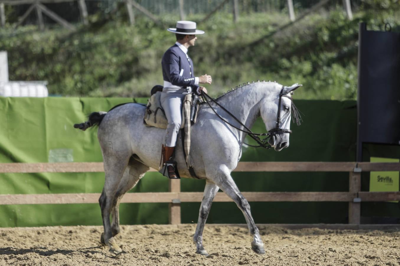 Los expositores y espectáculos de caballos contaron con numerosos asistentes