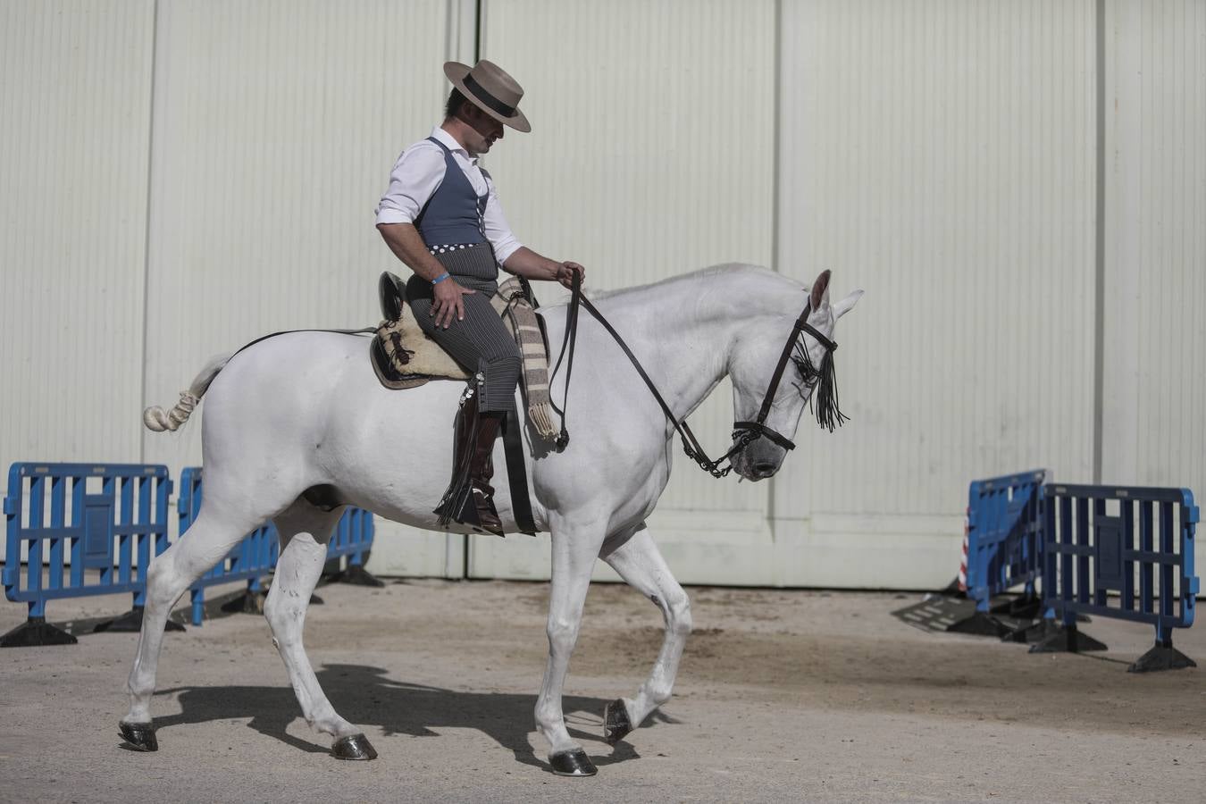 Los expositores y espectáculos de caballos contaron con numerosos asistentes