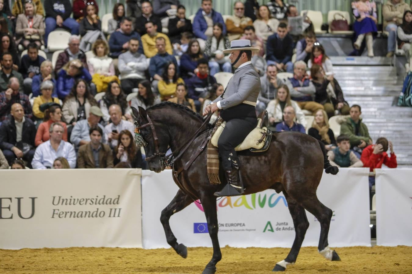 Los expositores y espectáculos de caballos contaron con numerosos asistentes