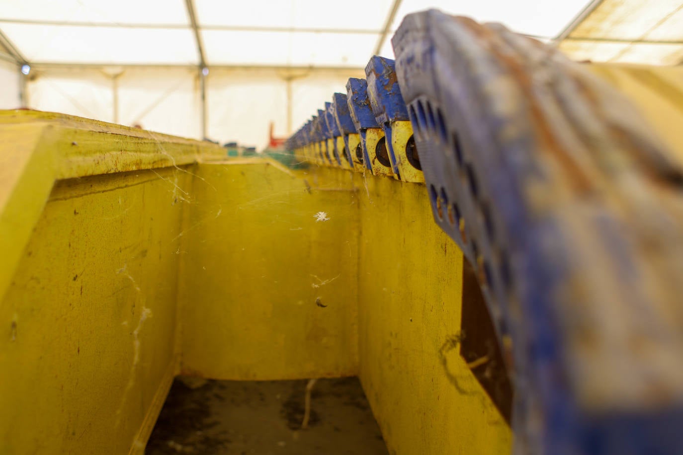 La tuneladora de la SE-40 tras once años esperando en Coria la obra