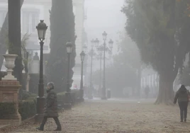 El tiempo en Sevilla: la niebla dará paso al sol, pero bajarán las temperaturas
