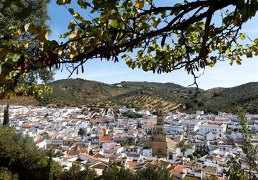 El pueblo más barato para comprar una casa en Sevilla: uno de los pocos en los que han bajado los precios en 2024