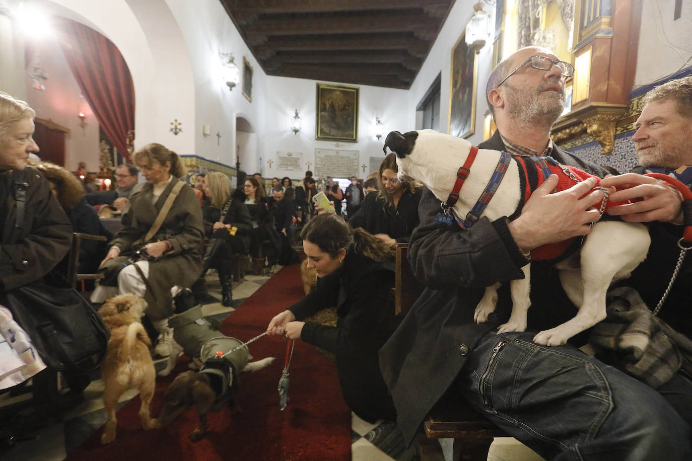 La Pastora de Santa Marina acoge la tradicional bendición de animales por San Antón