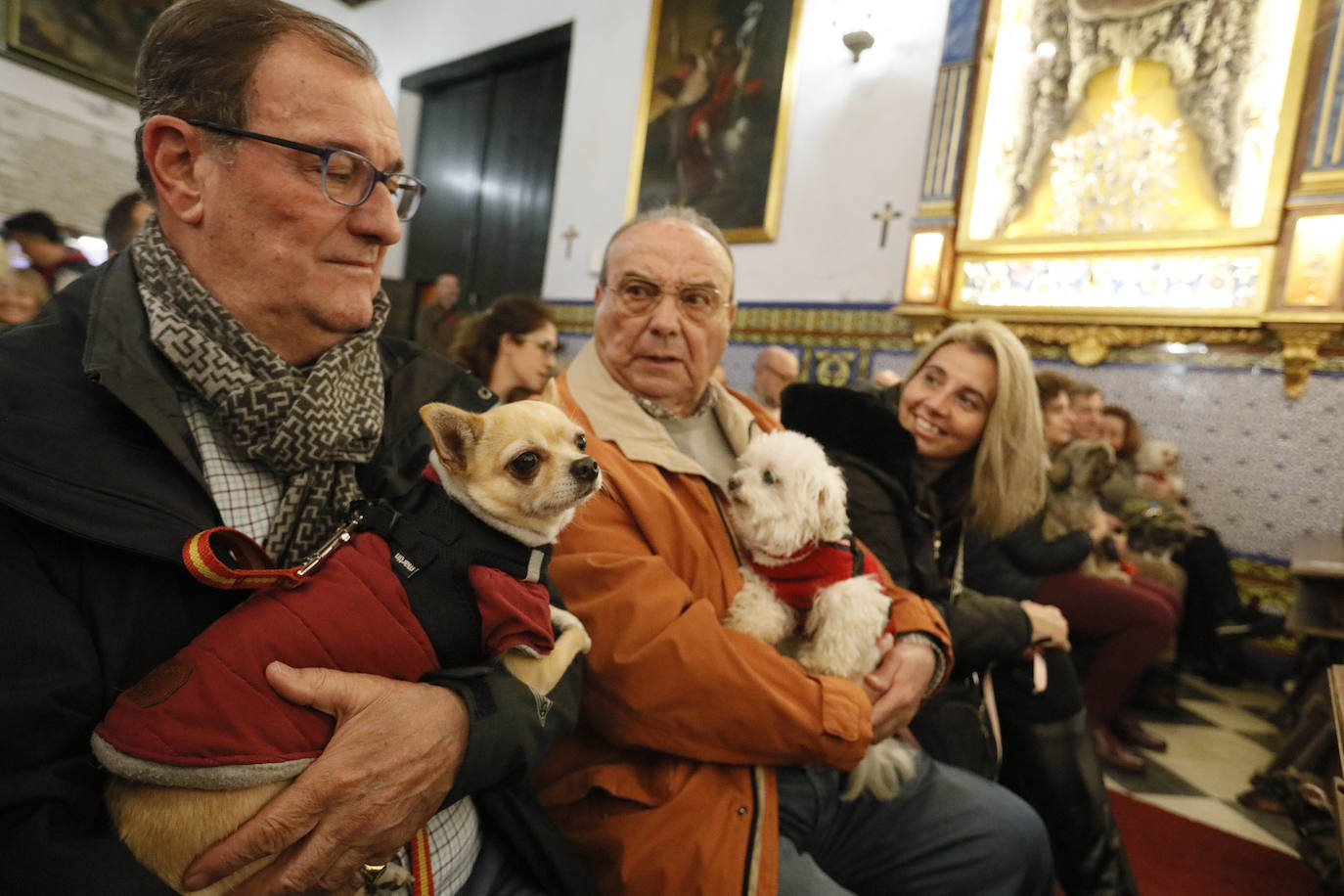 La Pastora de Santa Marina acoge la tradicional bendición de animales por San Antón