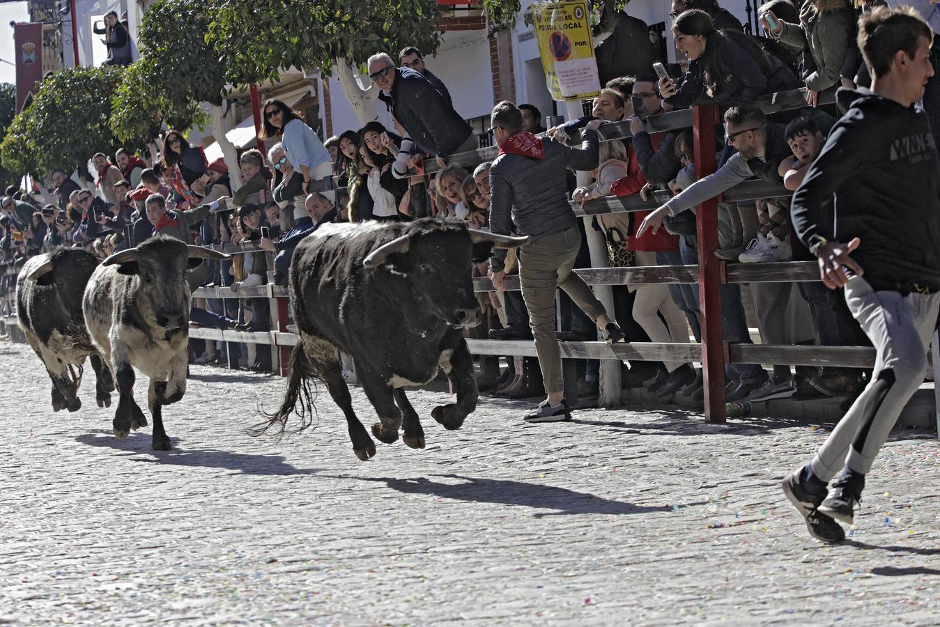 Momentos del encierro celebrado este sábado en La Puebla del Río