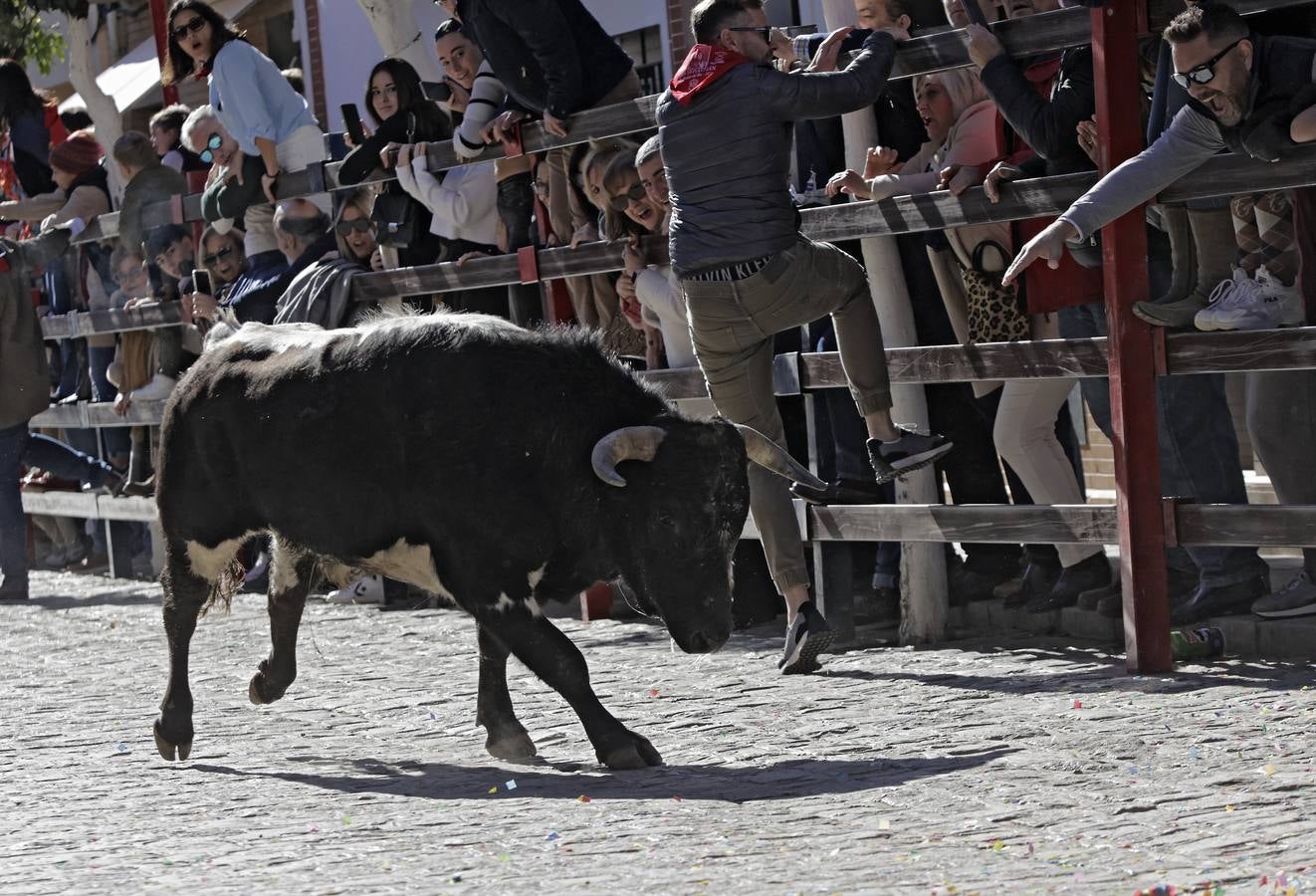 Momentos del encierro celebrado este sábado en La Puebla del Río