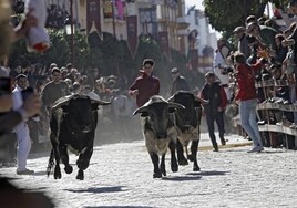 Imágenes del encierro y la corrida de La Puebla del Río organizada por Morante