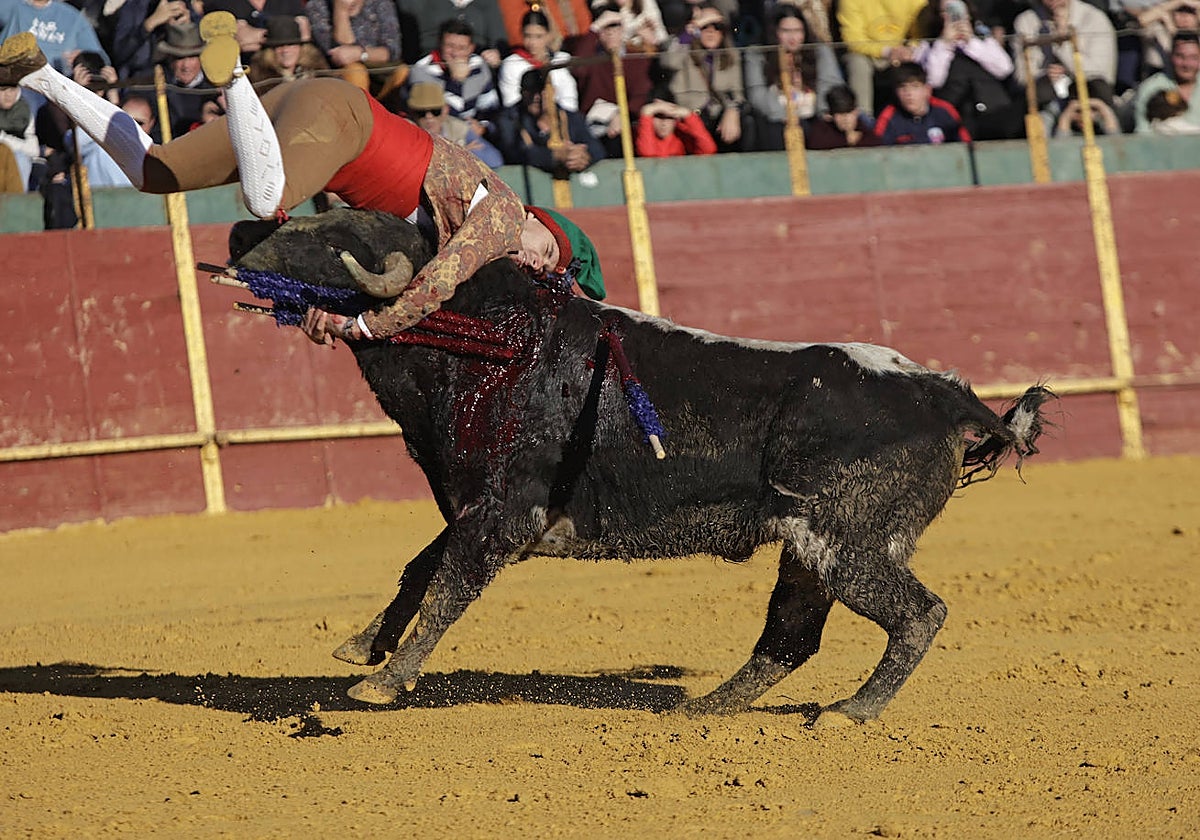 Pega del forcado Tomás Duarte, este sábado en La Puebla del Río