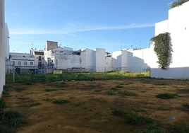 El cambio de gobierno local en Sevilla retrasa el proyecto sobre el solar de la calle Divina Pastora