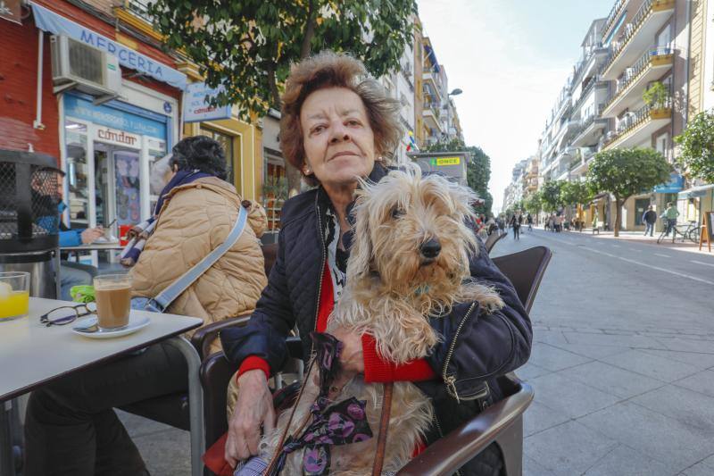 Imágenes sobre el barrio sevillano de Los Remedios