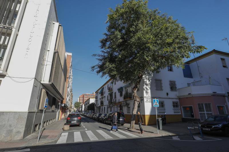 Imágenes sobre el barrio sevillano de Los Remedios